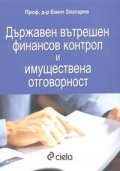 Държавен вътрешен финансов контрол и имуществена отговорност