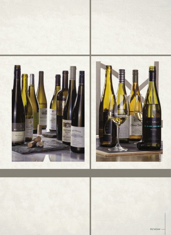 DiVino; Бр.10/IV - V 2013