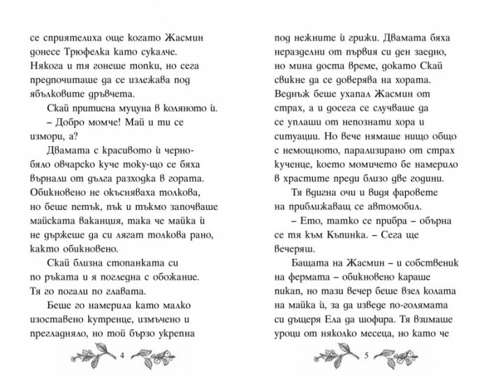 Сърничката Точица