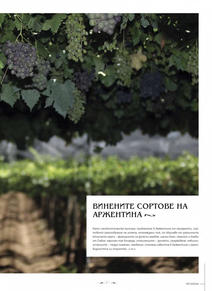 DiVino; Бр.9/II - III 2013