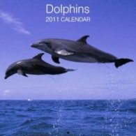 Calendar 2011: Dolphins