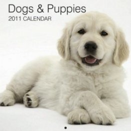Calendar 2011: Dogs & Puppies