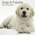 Calendar 2011: Dogs & Puppies