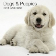 Calendar 2011: Dogs & Puppies