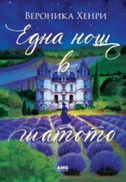 Една нощ в шатото