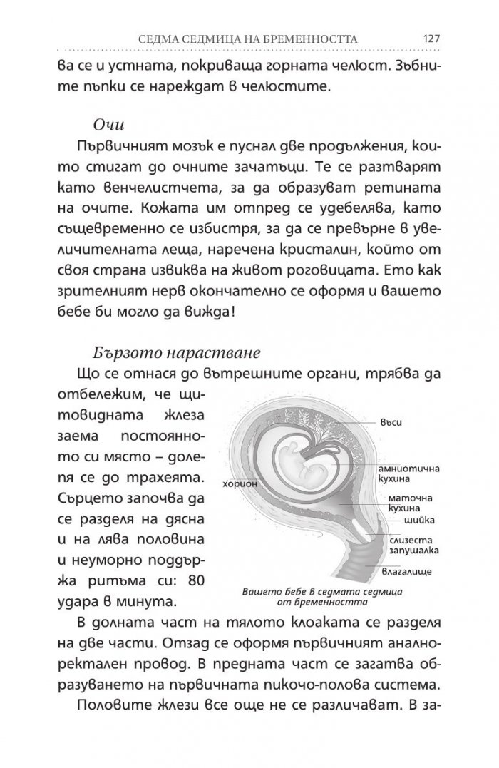 Аз съм бременна. Всичко за бъдещата майка (Обновено издание)