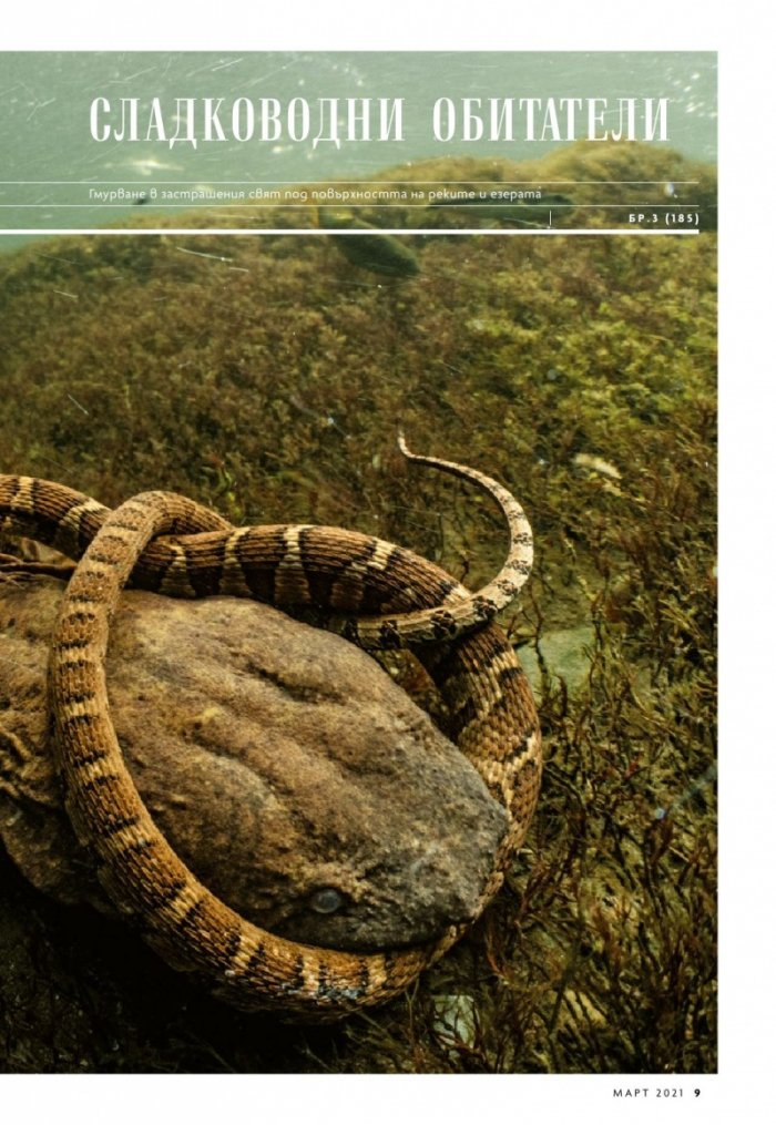National Geographic България Март/2021