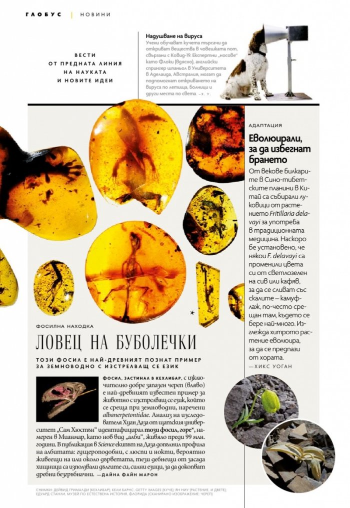 National Geographic България Март/2021