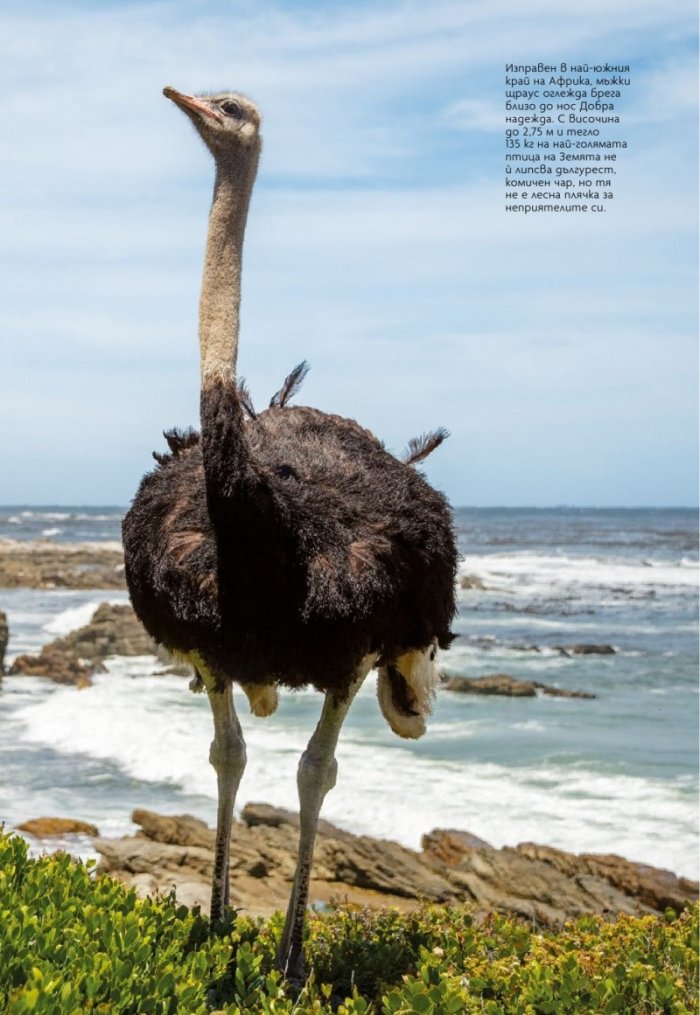 National Geographic България Март/2021