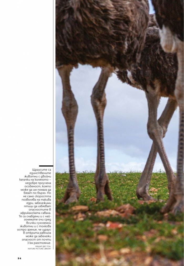 National Geographic България Март/2021