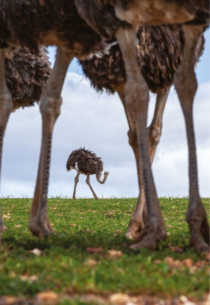 National Geographic България Март/2021