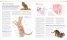 The Cat Encyclopedia
