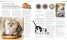 The Cat Encyclopedia
