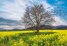 Стенен календар 2020: Пейзажи от България