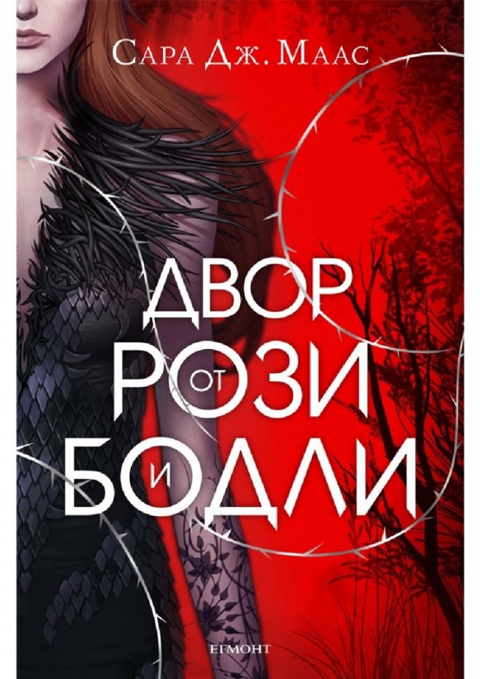 Двор от рози и бодли кн.1