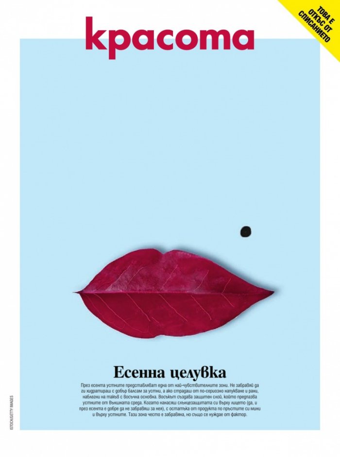 Cosmopolitan Ноември/2023