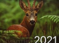 КАЛЕНДАР 2021 СТЕНЕН 30/30см.12л. "ЖИВОТНИ"