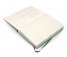 Бележник Moleskine 2014 12 Month Large Hard Cover Daily Planner Oxide Green [6033]