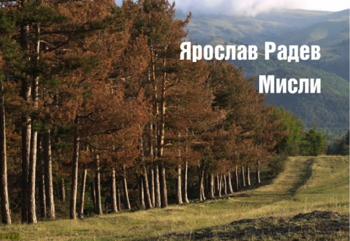 Мисли