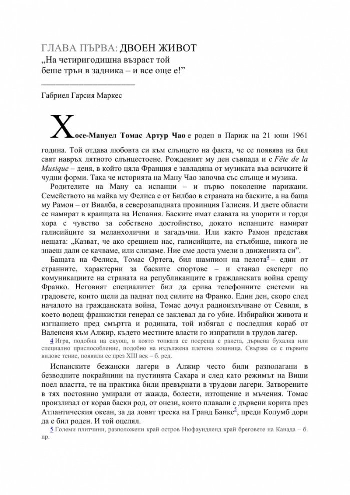Clandestino: в търсене на Ману Чао