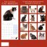 Calendar 2016: Cat Breeds