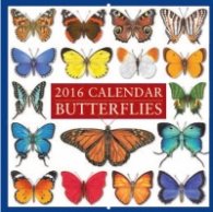 Calendar 2016: Butterflies