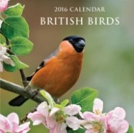 Calendar 2016: British Birds