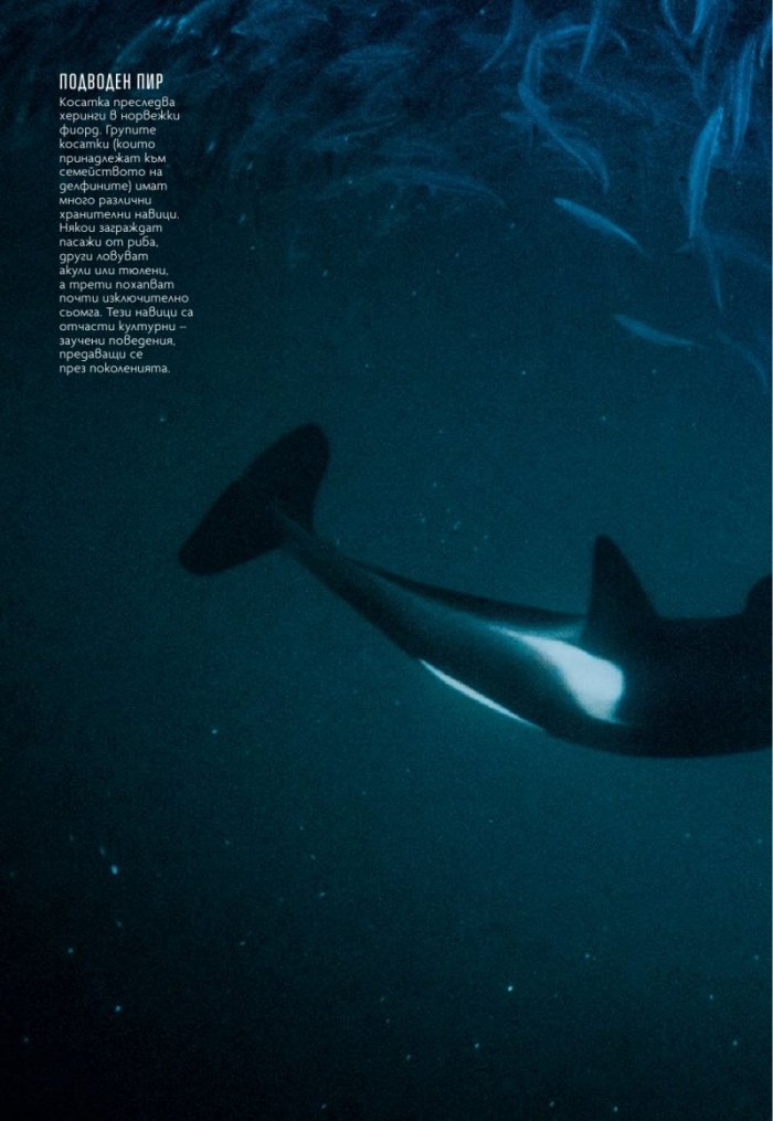 National Geographic България Май/2021