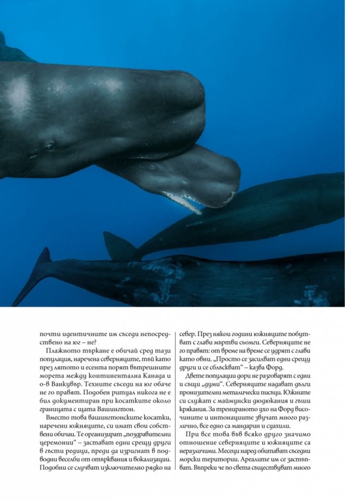 National Geographic България Май/2021