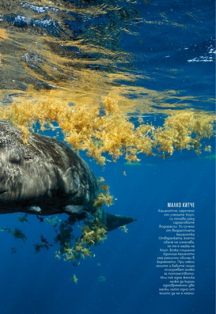 National Geographic България Май/2021