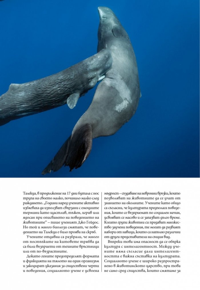 National Geographic България Май/2021