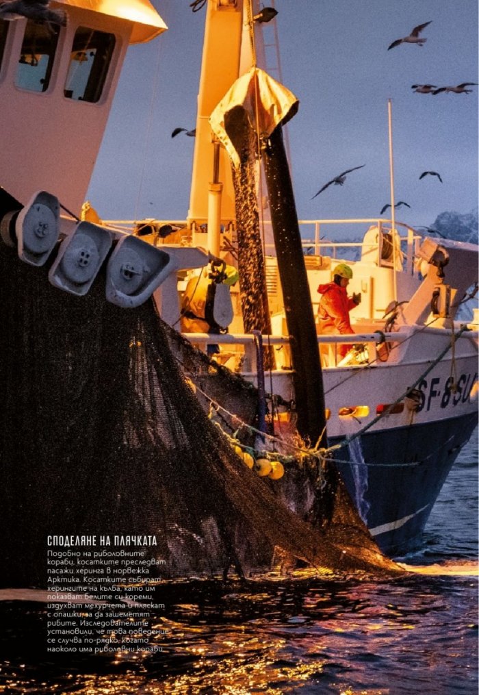 National Geographic България Май/2021