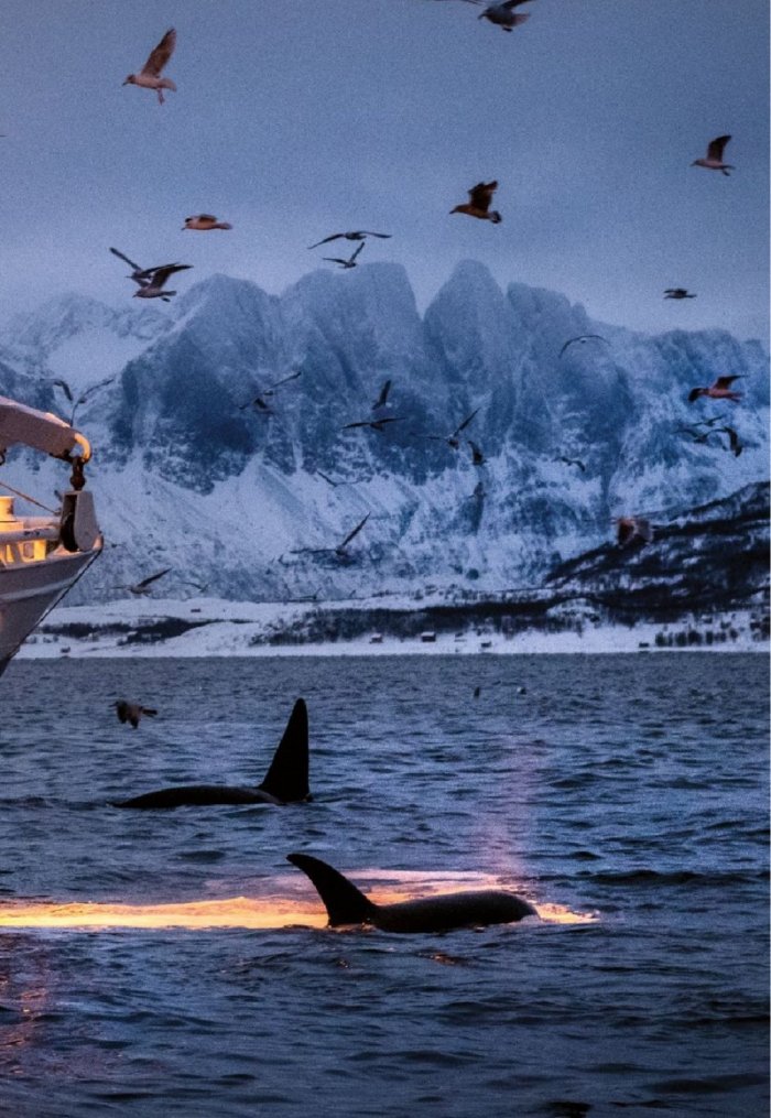 National Geographic България Май/2021