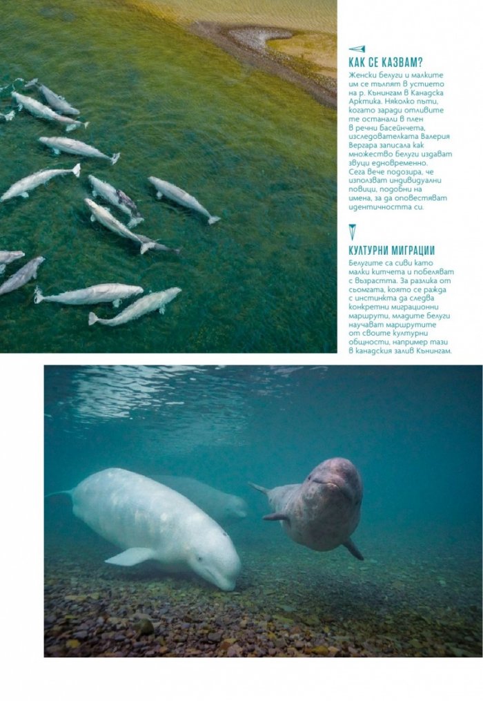 National Geographic България Май/2021