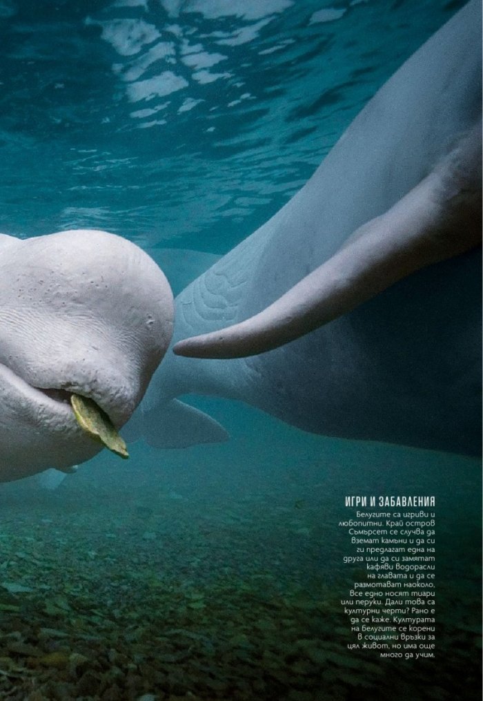National Geographic България Май/2021