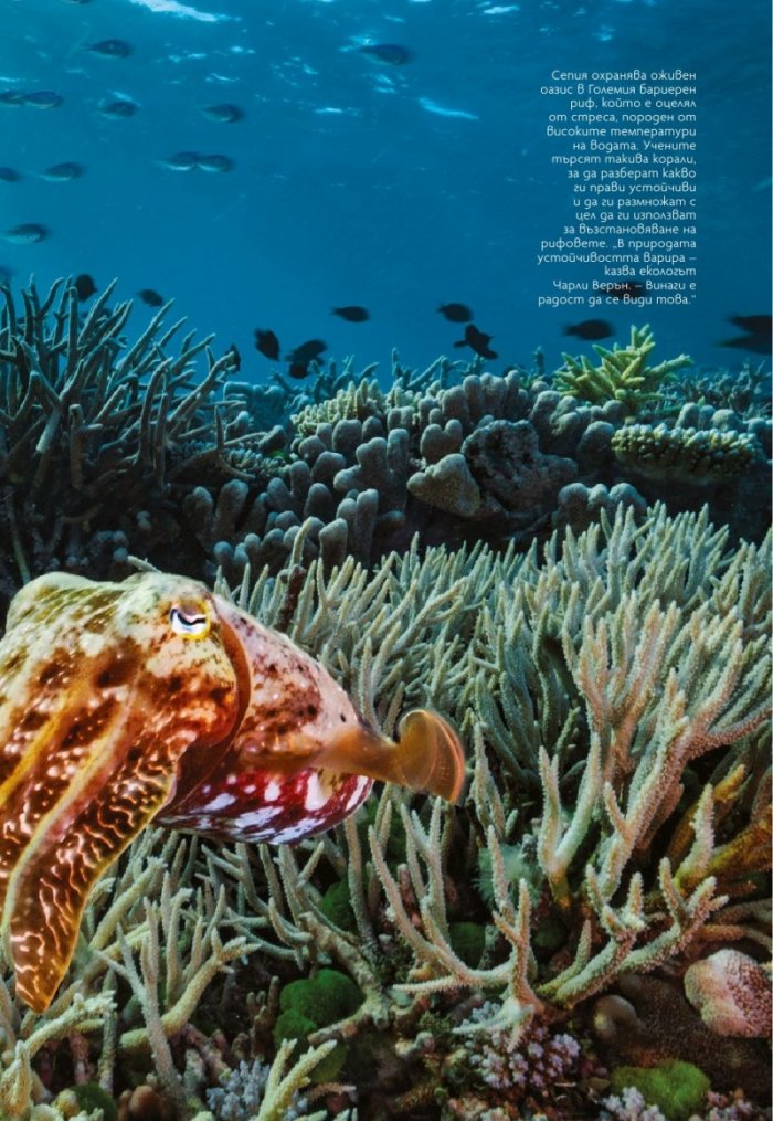 National Geographic България Май/2021