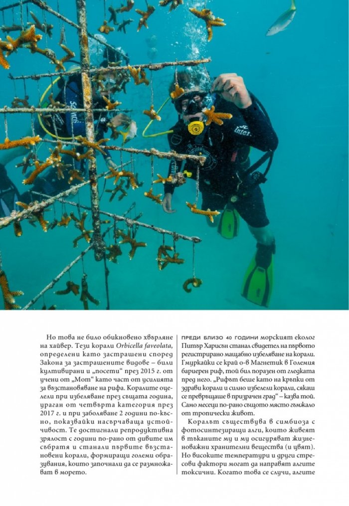 National Geographic България Май/2021