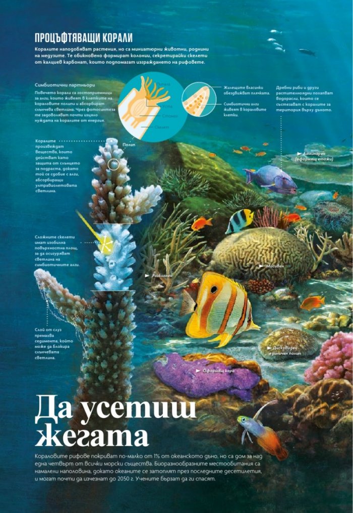 National Geographic България Май/2021