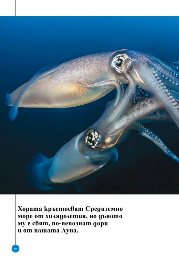 National Geographic България Май/2021