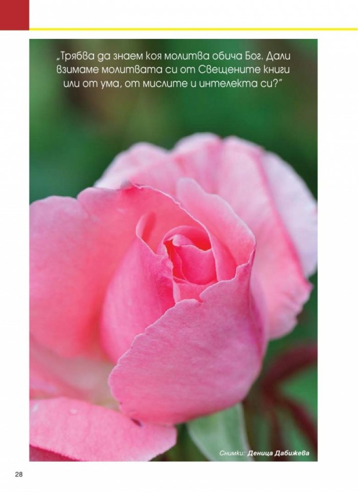 Усури; Бр. 110/2013