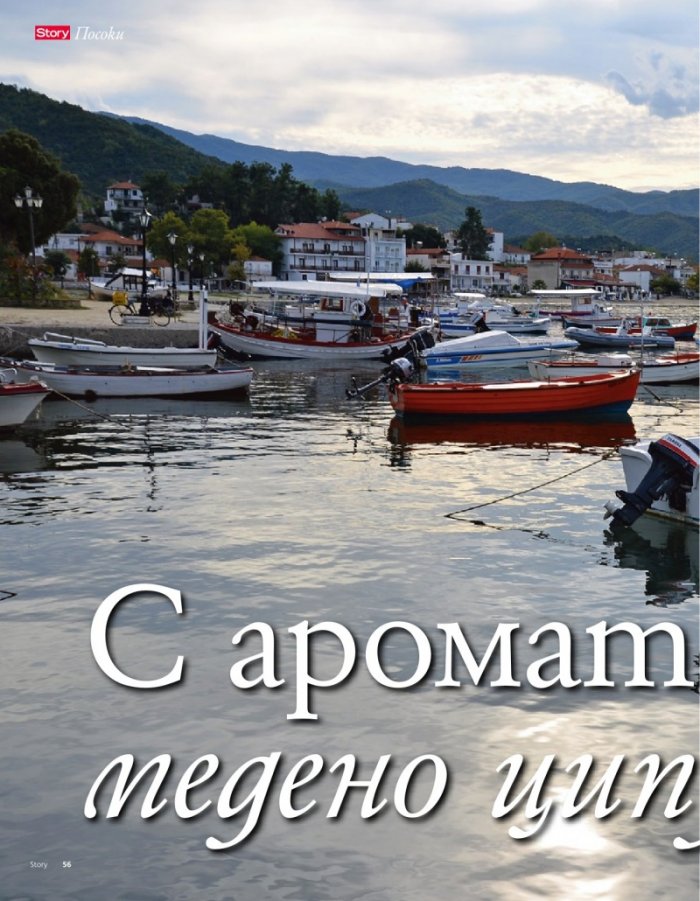 Story; Бр. 45/2013