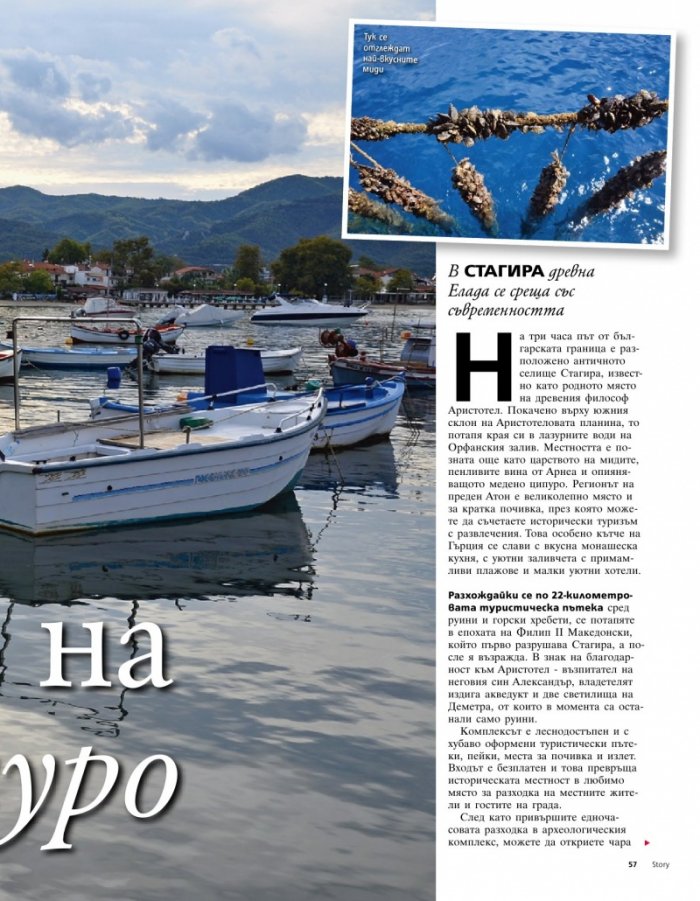 Story; Бр. 45/2013