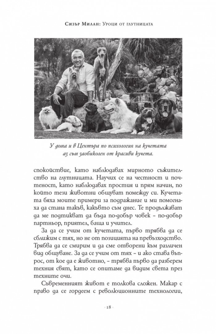 Уроци от глутницата