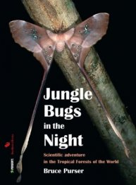 Jungle Bugs in the Night