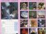 Calendar 2014: Country Crafts
