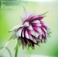 Calendar 2014: Flowers