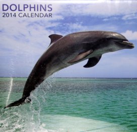 Calendar 2014: Dolphins