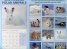 Calendar 2014: Polar Animals