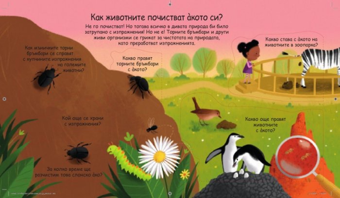 Първи въпроси и отговори: Къде отива акото ?