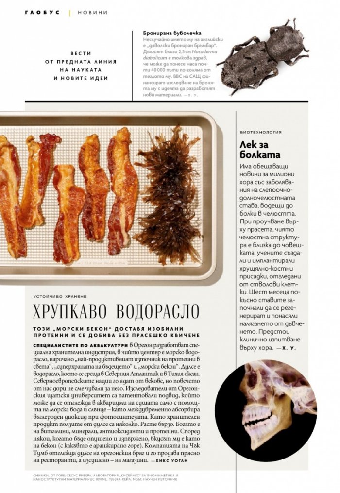 National Geographic България Юни/2021